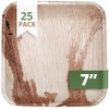 CaterEco Square Palm Leaf 7" Salad Plates, 25 Pack