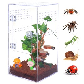 SORWATEE Jumping Spider Enclosure Acrylic Jumping Spider Terrarium with Front Opening Door, Micro Habitat Terrarium for Small Tree Dwelling Reptiles, Arboreal Tarantula Enclosure (6X6X12 Inches)