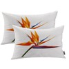 Shrahala Orange Plant Tropical Flower Outdoor Throw Pillow Cover, Flowers