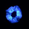 MiaSophia Light Up LED Scrunchie (blue)