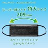 Biho Mask, Disposable Non-woven Mask, Made in Japan, Flat Elastic