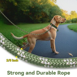 Codepets Nylon Dog Leash 6FT 10FT 20FT 30FT Diameter 2/5 Inch with Comfortable Silicone Handle Highly Reflective No Tangle for Medium Large Dogs Outside Walking Camping Backyard. (Green, 20FT)