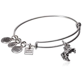 Alex and Ani Unicorn EWB Bangle Bracelet, Rafaelian Silver, Expandable