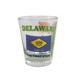 Souvenir Shot Glass Delaware DE - (Box of 12)