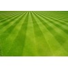 Terre Product Mulching Lawn Mower Blade 21” Deck EGO Power+