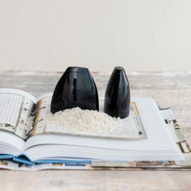 Creative Co-Op, Black, Horn Salt and Pepper Shakers, Set of 2, Small