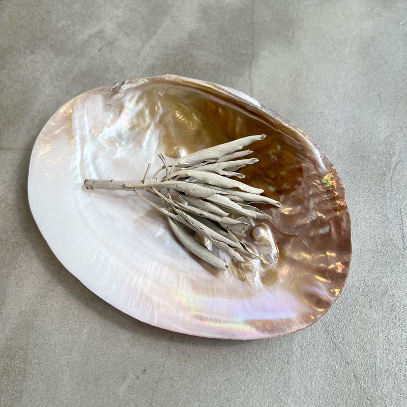 Sage White Sage Incense (Sage 1.2 oz (35 g) +