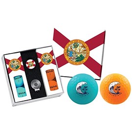 Volvik Vivid State Pack: Florida