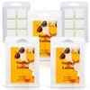 The Candle Daddy - Suntan Lotion - Tropical Sun Tan