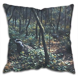 Cushion Cover with Foraging Artwork by Julian Friers - 42cm x 42cm