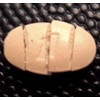 01/26 One A Day Proactive 65+ Plus Multivitamins 150 tb