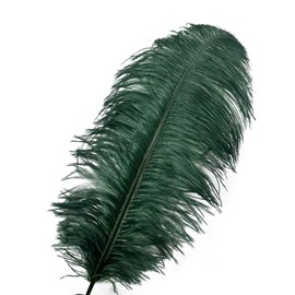 Happy Feather 16-18 inch Blackish Green Ostrich Feathers Craft for Wedding Party Centerpieces Home Decoration DIY Craft Pack of 10