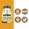 American Standard Supplements Irish Sea Moss 1200mg, Bladderwrack 1200mg and