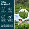 Teapro Premium Elderflower Tea 200g | Sambucus Nigra Dried Elderflower