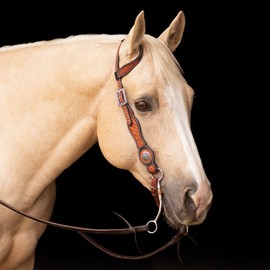 Schneiders Ranch Turquoise Concho Two-Tone One Ear Headstall for Horses | Hand-Tooled Argentine Leather | Shaped Ear & Cheeks | Turquoise Detail | Adjustable Fit | Size Full Horse