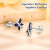 AGRULE Dainty Small Blue Stone Studs Sterling Silver Post 925