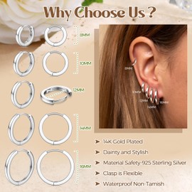 PATISORNA 5 Pairs Small Sterling Silver Hoop Earrings Set for Women, 18k Gold Plated Huggie Hoop Earrings Lightweight for Women Hypoallergenic Multiple Piercing