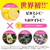 [ ケシミン ] ケシミン浸透化粧水 さっぱりすべすべ 本体【 ビタミンC 誘導体と VホワイトC 配合】【
