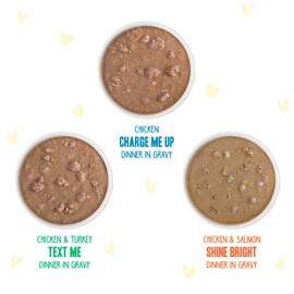 Weruva B.F.F. OMG - Best Feline Friend Oh My Gravy!, Yippy Ki Yay Yellows! Variety Pack, 2.8oz Pouch (Pack of 12)