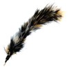 Pet Fit For Life Multi Piece Replacement Feathers Pack Plus