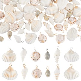 PH PandaHall 72pcs 12 Styles Natural Shell Pendants White Scallop Spiral Cowrie Shell Pendants Natural Seashells Jewellery Charms for Jewellery Making Home Decor Wedding Summer Ocean Beach Party