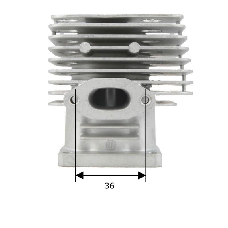 cylingcolors Cylinder + Piston + Segment Compatible with Brush Cutter