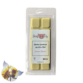 Medium Wax MELT Clamshell BAR - Snap Tart Handcrafted Soy Wax Vegan Long Lasting Highly Scented Handmade Wax Melts (Summer Breeze)