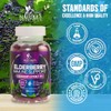 Immune Support Gummies with Sambucus Black Elderberry Extract - Extra