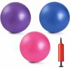 MoldFun Mini Exercise Balls with Air Pump - 3 Pack