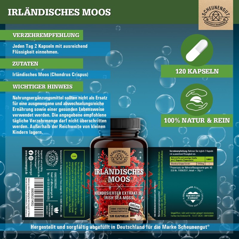 Seemoos aus isländischem Moos roter Seetang Sea moss