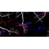 White Lightning Strike Graphic Vinyl Car Wrap Film Sheet +