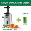 Omega JC3000SV13 Vertical Masticating Juicer, 65 RPM Compact Cold Press