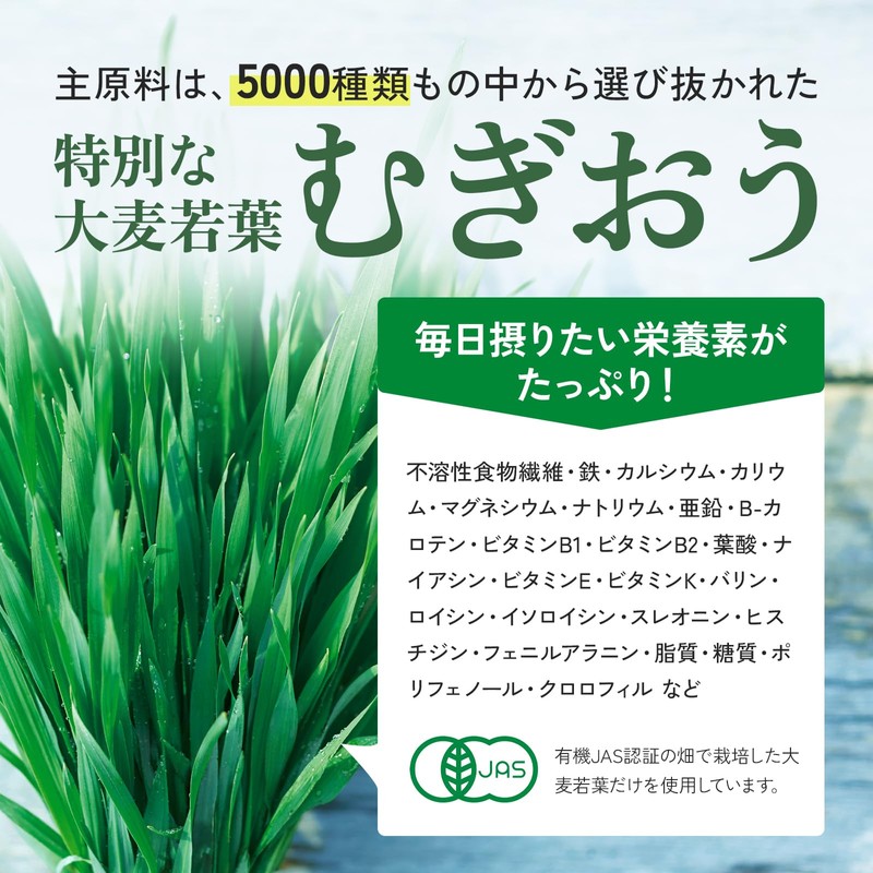 アサヒ緑健公式 緑効青汁×グルコV 60袋 （4ｇ×60袋入り）グルコサミン 大麦若葉 乳酸菌 オリゴ糖 食物繊維 粉末