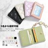akoyo Pass Case, Commuter Pass Case, With Reel, Sheepskin Leather,