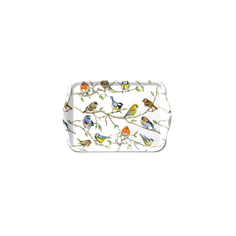 Tray Birds Meeting Bird Meeting 13 x 21 cm Melamine
