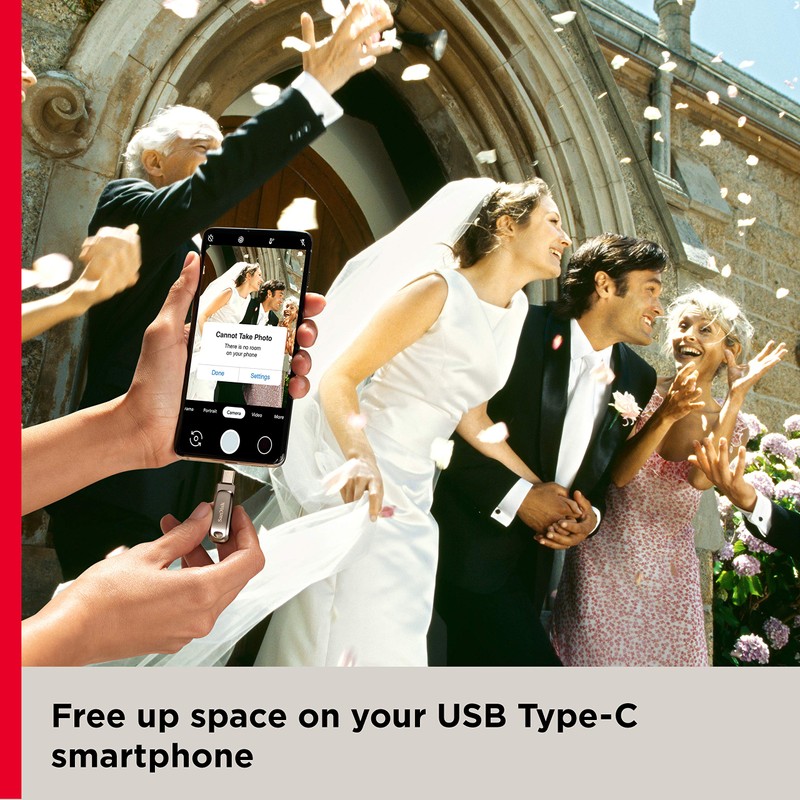 SanDisk 256GB Ultra Dual Drive Luxe USB Type-C to SDDDC4-256G-G46