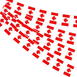 AhfuLife Canada Flag Bunting for Canada Day Party Decorations, 10m - 30pcs Canadian Flags Bunting Banner Double Sided Flags for World Cup Sports Event Indoor Outdoor Decorations (14 x 21 cm - 1 Pack)