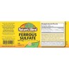 Nature's Blend Iron Ferrous Sulfate 325mg BPK, Assorted, tablets, 100