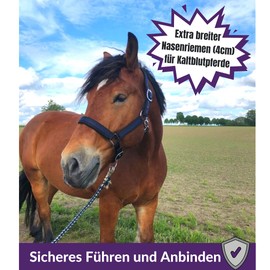 Halter for Horses Cold Blood Headcollar XXfull, Stable Halter Adjustable 2 Compartments on Chin Strap and Headpiece (Black/Blue, XFull (Cold Blood)