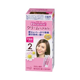 Brone Cream Hair Color 2 Brighter Chestnut