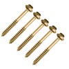 TERF® 6.0 X 100mm Advanced Turbo Coach Screws 6.0 X