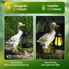 Solar Light Duck Statues, Porch Goose Statue for Front Yard Decor - Outdoor Lawn Ornaments, Garden Ducks and Goose Decorations, Perfect Yard Goose Decor and Duck Decoy for Garden Animals Theme