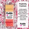 Puddle of Wax - Doughnutty Freakshake Soy Wax Melt Snap
