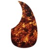 SCUD F-4002/T1 Totoise/Brown Acoustic Pickguard