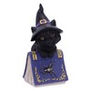 Nemesis Now Pocus Small Witches Familiar Black Cat and Spellbook