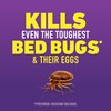 Ortho Home Defense Max Bed Bug, Flea and Tick Killer