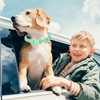 Waterproof Dog Collar Soft Rubber Dog Collar with Safety Buckle