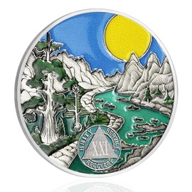 CHURYUML 21 Year Sobriety Coin Original Sobriety Chip AA Coins Recovery Medallions Affirmation Token Sobriety Gifts Alcoholics Anonymous Token Sober Gift for Men and Women Celebrating Sobriety