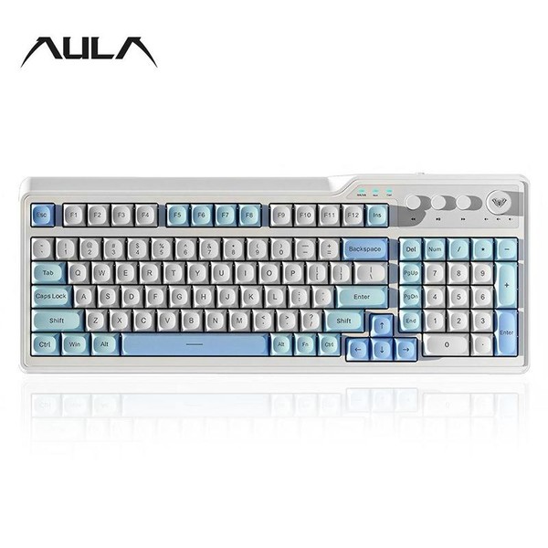 AULA F3099 Wireless Keyboard, 99-key Layout Wireless Keyboard, Fashionable Color