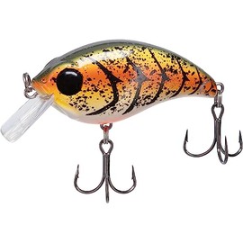 Bill Lewis ATV SQUAREBILL 2.5 / Rootbeer Craw